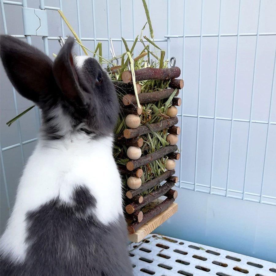 何でも揃う うさぎ 牧草入れ 固定 チモシー入れ 牧草フィーダー 省スペース ネジ固定 チ ンチラ デグー モルモット 餌入れ 小動物用 給水ボトル125ml 付き グリーン Www Tadronteatro Com Ar