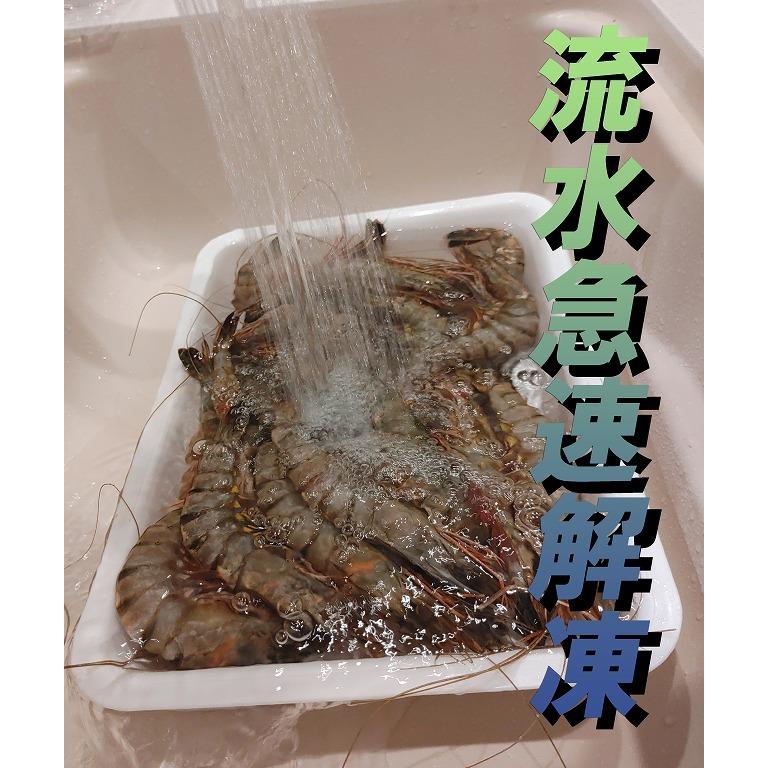 有頭えび ブラックタイガー 冷凍 業務用 1.3kg30尾1箱 特大 海老 冷凍エビ 有頭海老 有頭エビ エビ えび 冷凍エビ 海水養殖 :271122502:波ブランドの海の幸 - 通販 - Yahoo!ショッピング 有頭えび ブラックタイガー 冷凍 業務用 1.3kg30尾1箱 特大 海老 冷凍エビ 有頭海老 有頭エビ エビ えび 冷凍エビ 海水養殖 :271122502:波ブランドの海の幸 - 通販 - Yahoo!ショッピング