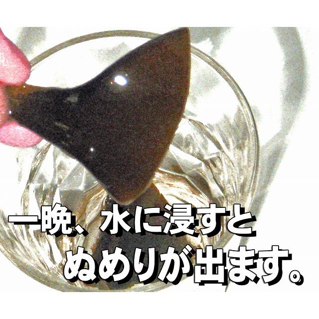 根昆布の爪 100g 水に一晩浸けて毎朝飲んで下さい  北海道利尻産 干し根爪 根昆布のツメ 昆布 コンブ こんぶ 根爪昆布 根こんぶ 根コンブ ねこんぶ 根爪 根つめ｜namibrandstore｜03