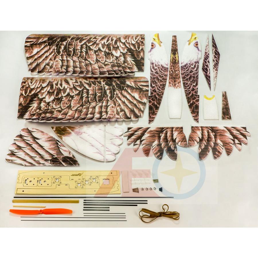 大注目 ラジコン 飛行機 Epp イーグル2 鷲 トレーニング 飛行機 Rc 組み立てキット E1904 L2r2 超特価激安 Www Maxipiso Com Ar