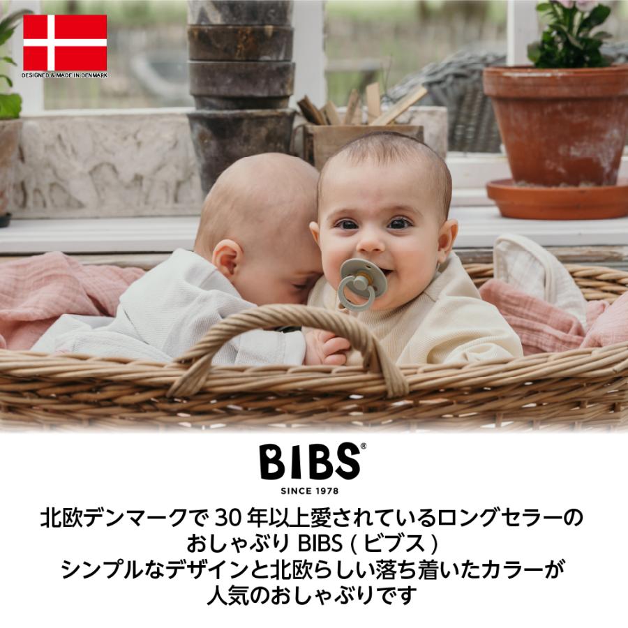 正規販売店 BIBS ビブス おしゃぶり 1個 COLOUR デンマーク 北欧 天然ゴム 新生児 赤ちゃん ベビー 出産祝い 歯固め 歯がため かわいい おしゃれ はがため｜namosee｜02