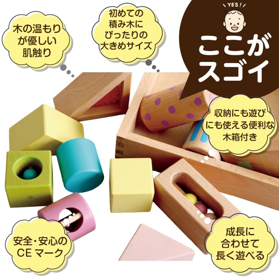 エド・インター（Ed・Inter） 木のおもちゃ 積み木 1歳 知育玩具