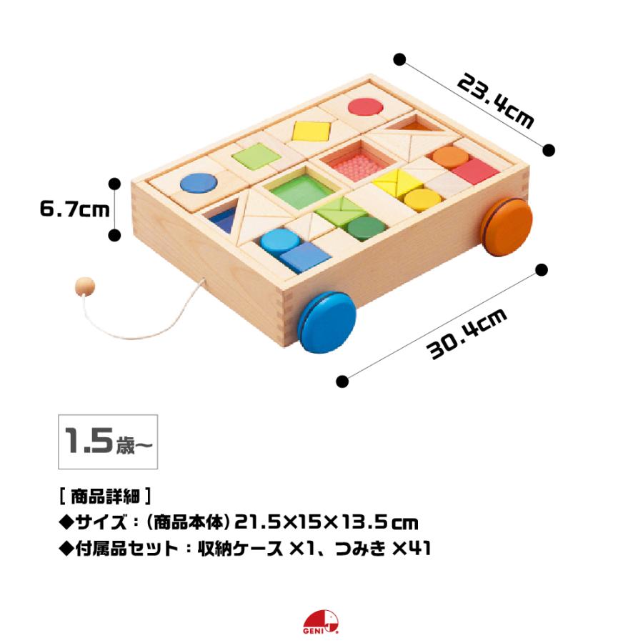 エド・インター（Ed・Inter） お片付袋付 木のおもちゃ 知育玩具 1歳