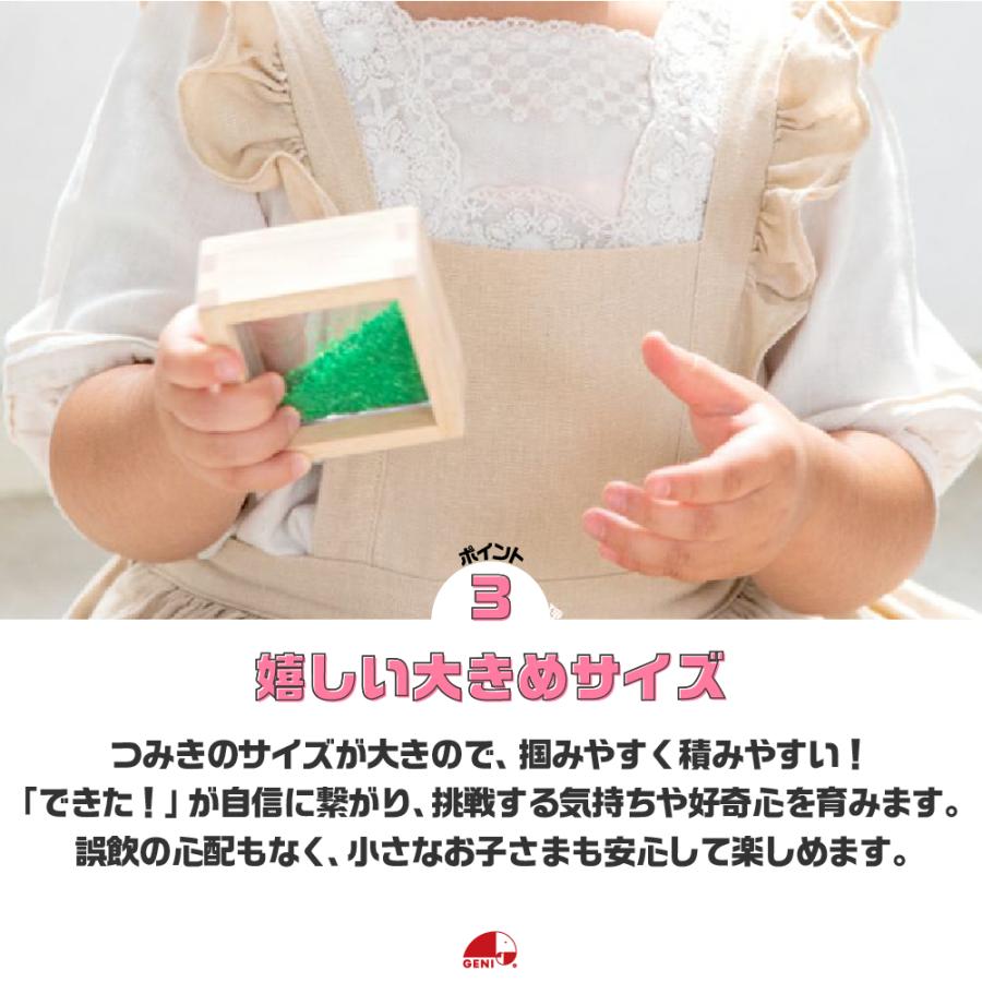 エド・インター（Ed・Inter） お片付袋付 木のおもちゃ 知育玩具 1歳