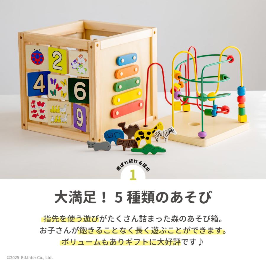 エド・インター（Ed・Inter） おもちゃ 知育玩具 1歳 2歳 男の子
