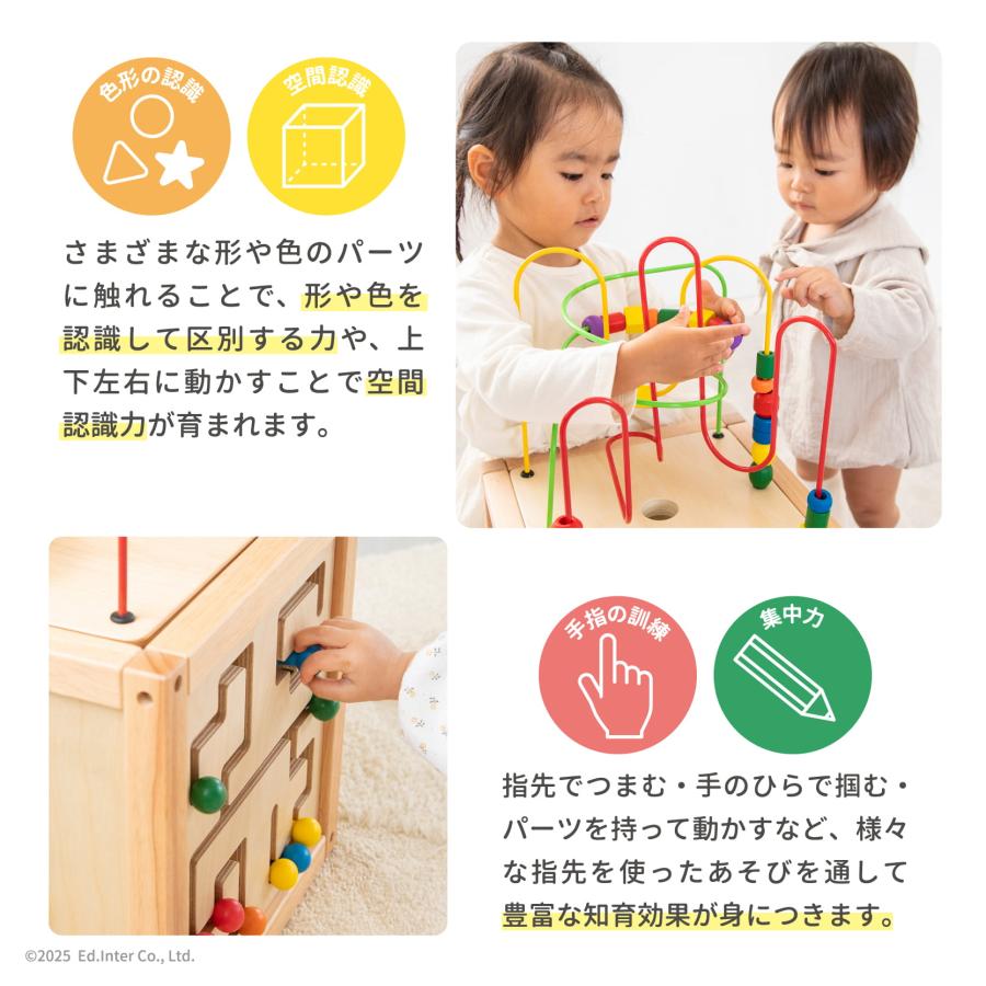エド・インター（Ed・Inter） おもちゃ 知育玩具 1歳 2歳 男の子