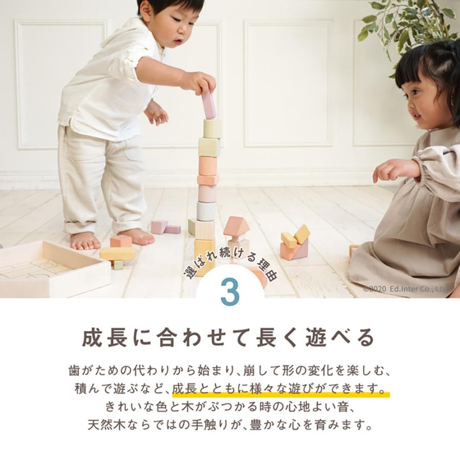 お片付袋付 おもちゃ 積み木 日本製 1歳 知育玩具 男の子 女の子 つみきのいえ L プレゼント 出産祝い 木製 エドインター ポイント利用 爆買 爆買の画像