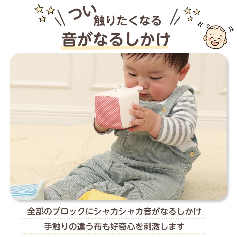 エド・インター（Ed・Inter） おもちゃ 0歳 1歳 積み木 知育玩具