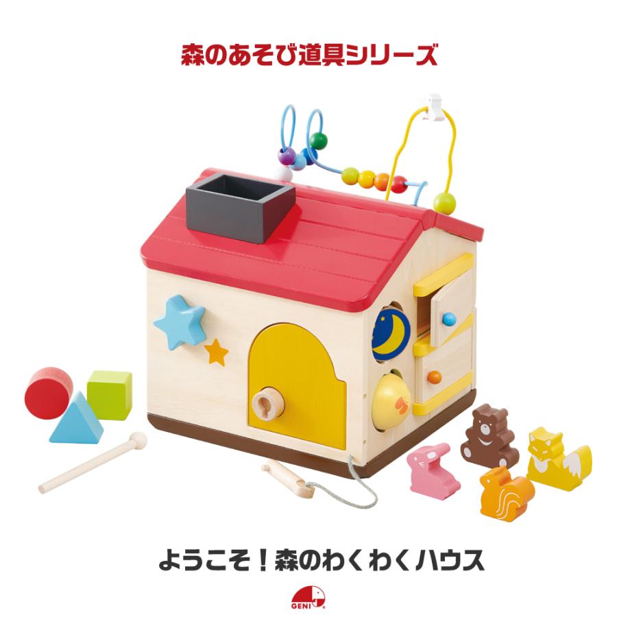 エド・インター（Ed・Inter） お片付袋付 おもちゃ 知育玩具 1歳 2