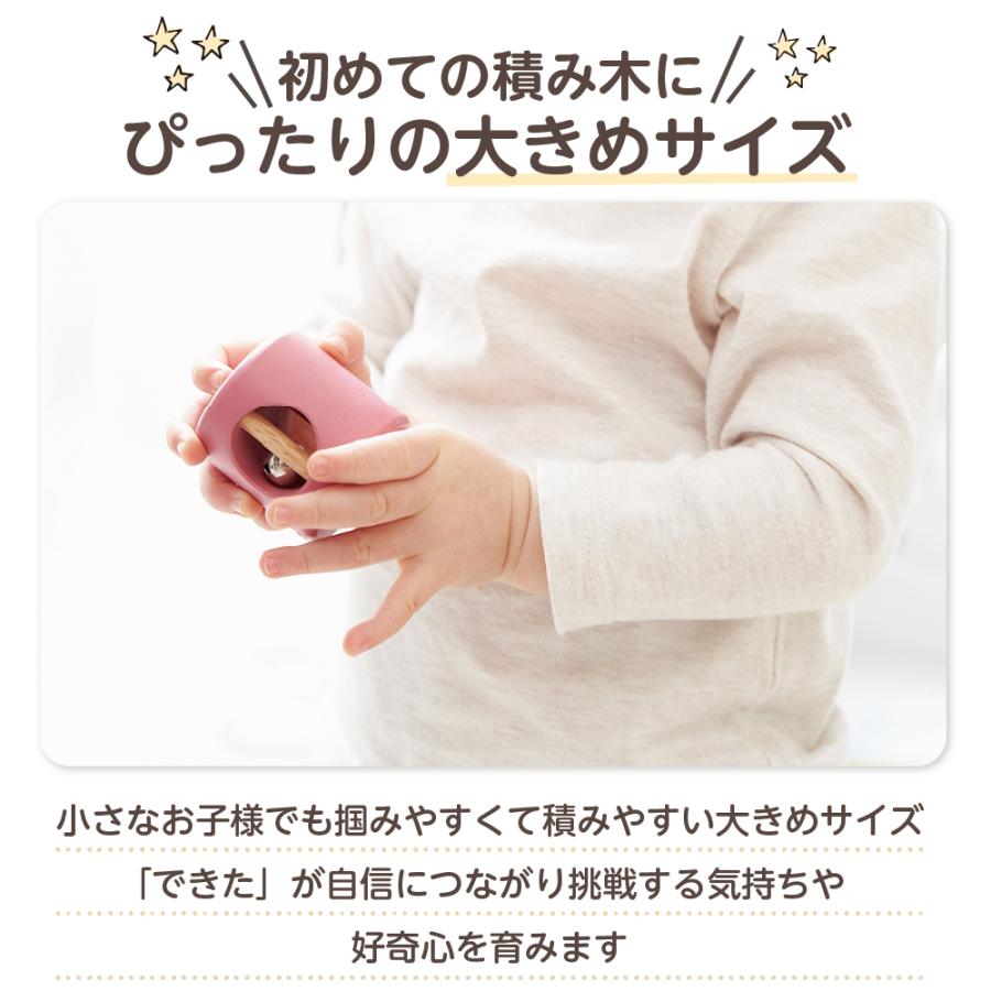 エド・インター（Ed・Inter） 知育玩具 1歳 積み木 おもちゃ 男の子