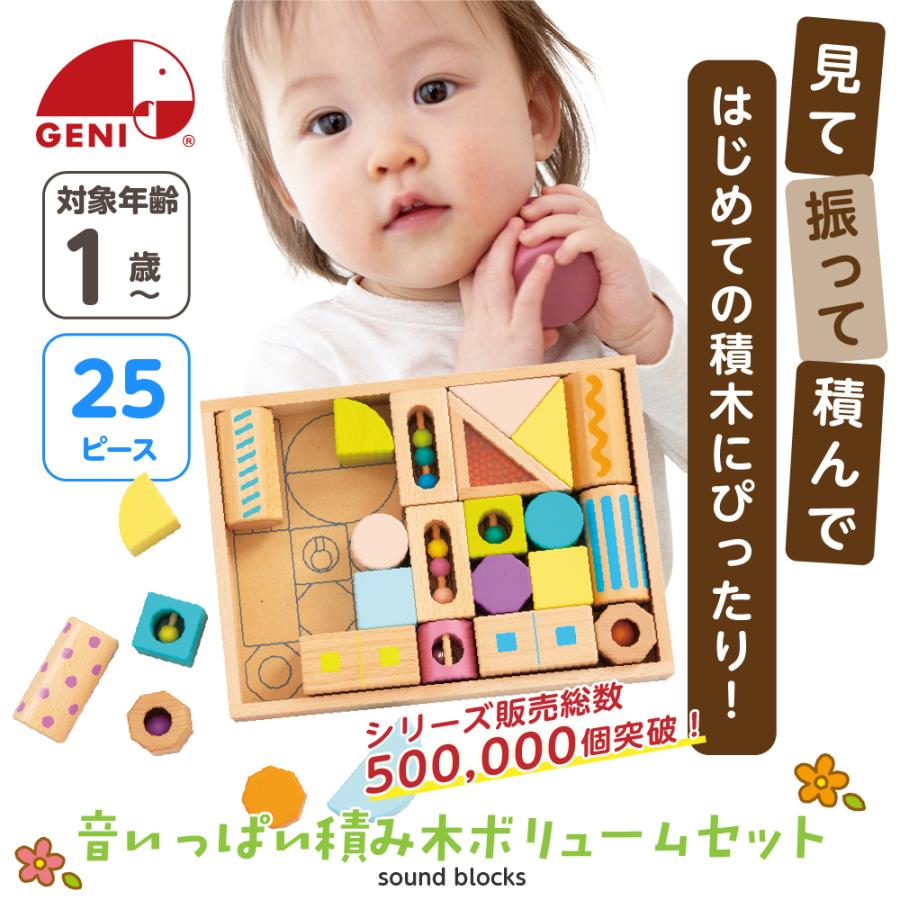 エド・インター（Ed・Inter） 知育玩具 1歳 積み木 おもちゃ 男の子
