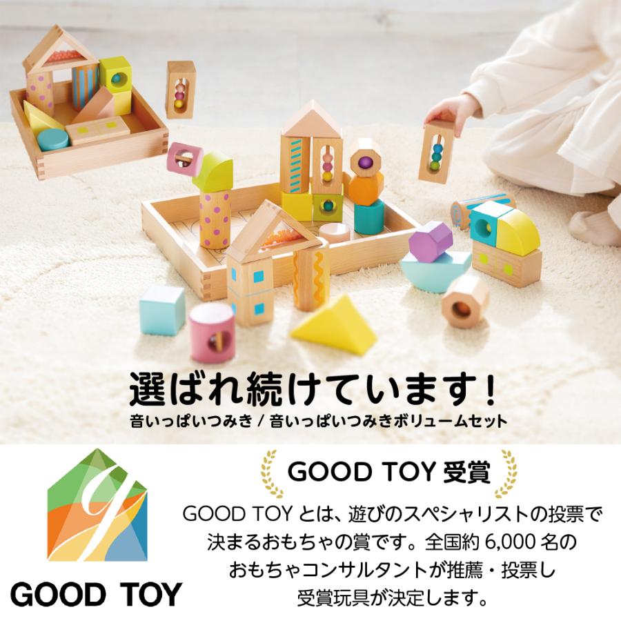 エド・インター（Ed・Inter） 知育玩具 1歳 積み木 おもちゃ 男の子