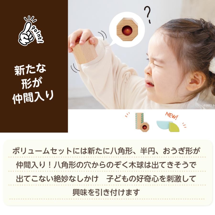 エド・インター（Ed・Inter） 知育玩具 1歳 積み木 おもちゃ 男の子