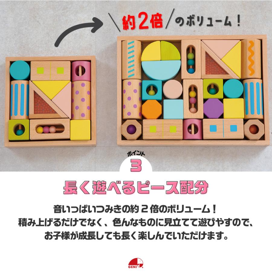 エド・インター（Ed・Inter） 知育玩具 1歳 積み木 おもちゃ 男の子