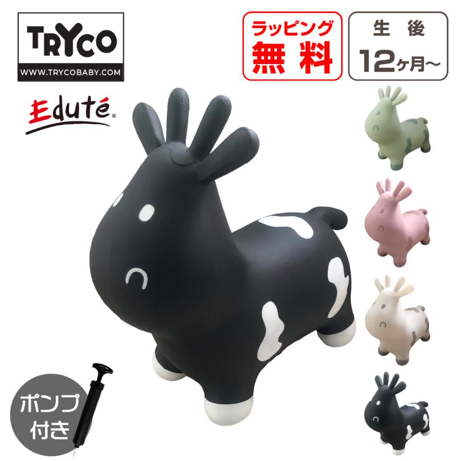 おもちゃ 赤ちゃん 乗用玩具 1歳 クリスマスプレゼント 子供 男の子 女の子 スキッピー 運動 屋内 乗り物 TRYCO 空気入れ プレゼント 誕生日 出産祝い 運動 | TRYCO | 04