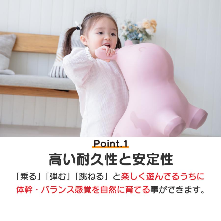 おもちゃ 赤ちゃん 乗用玩具 1歳 クリスマスプレゼント 子供 男の子 女の子 スキッピー 運動 屋内 乗り物 TRYCO 空気入れ プレゼント 誕生日 出産祝い 運動 | TRYCO | 09