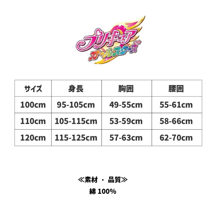 プリキュア ショーツ 2枚組 子供 下着 女の子 キッズ オールスターズ キッズ 新作 キャラクター インナー 女児 子供下着 肌着 新入園 かわいい プレゼント 爆買 |  | 04