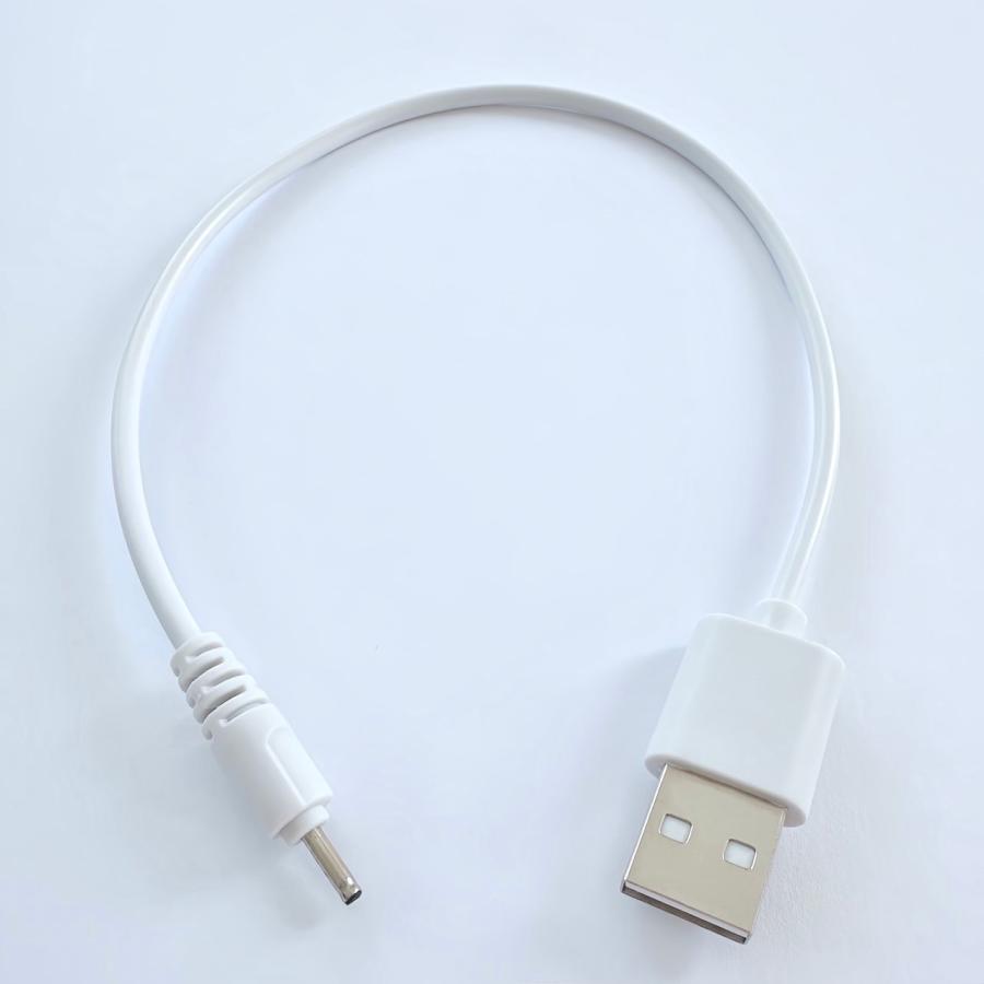 iPad タッチペン スタイラスペン 充電ケーブル 充電器 DCケーブル USB