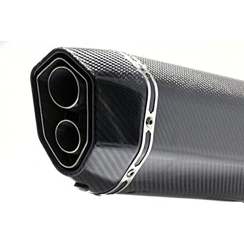 SV 650 2016 -2022 LCIPARTS LCIツインエンドカーボンスリップ