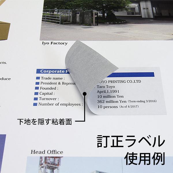 nana LDW65KW(L) 訂正用ラベルシール 1袋 100シート A4 65面 38.1mm