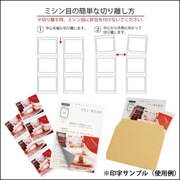 nana PCL-3(L) 印字可能 目隠しラベル 1袋 50シート A4 6面 93×75mm