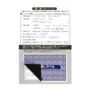 PPI-3(L)個人情報保護シール 1袋 100枚 84×53mm 貼り直し不可 目隠しラベル 必要箇所目隠しタイプ  セキュリティタイプ 目隠しシール 東洋印刷 ナナラベル｜nana