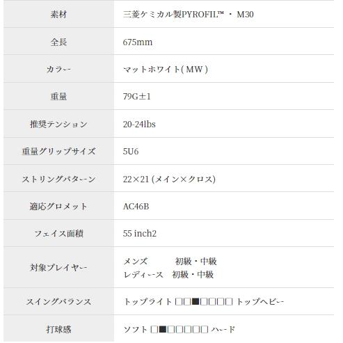 INFERNO GOSEN インフェルノエア BRIFAR バドミントンラケット INFERNO GOSEN インフェルノエア BRIFAR バドミントンラケット
