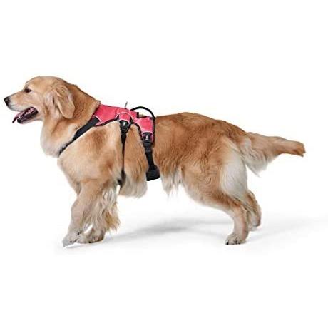 Tuff Houndハーネス 犬 ソフトメッシュ 軽量 小型犬 中型犬 大型犬 胴輪 反射材 調節可能 通気性 長いバージョン レッド S ハーネスリード Arrowspeedline Com Vn