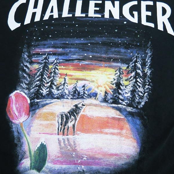 CHALLENGER Schott ショット x チャレンジャー S/S TEE 3113177 ロゴ 