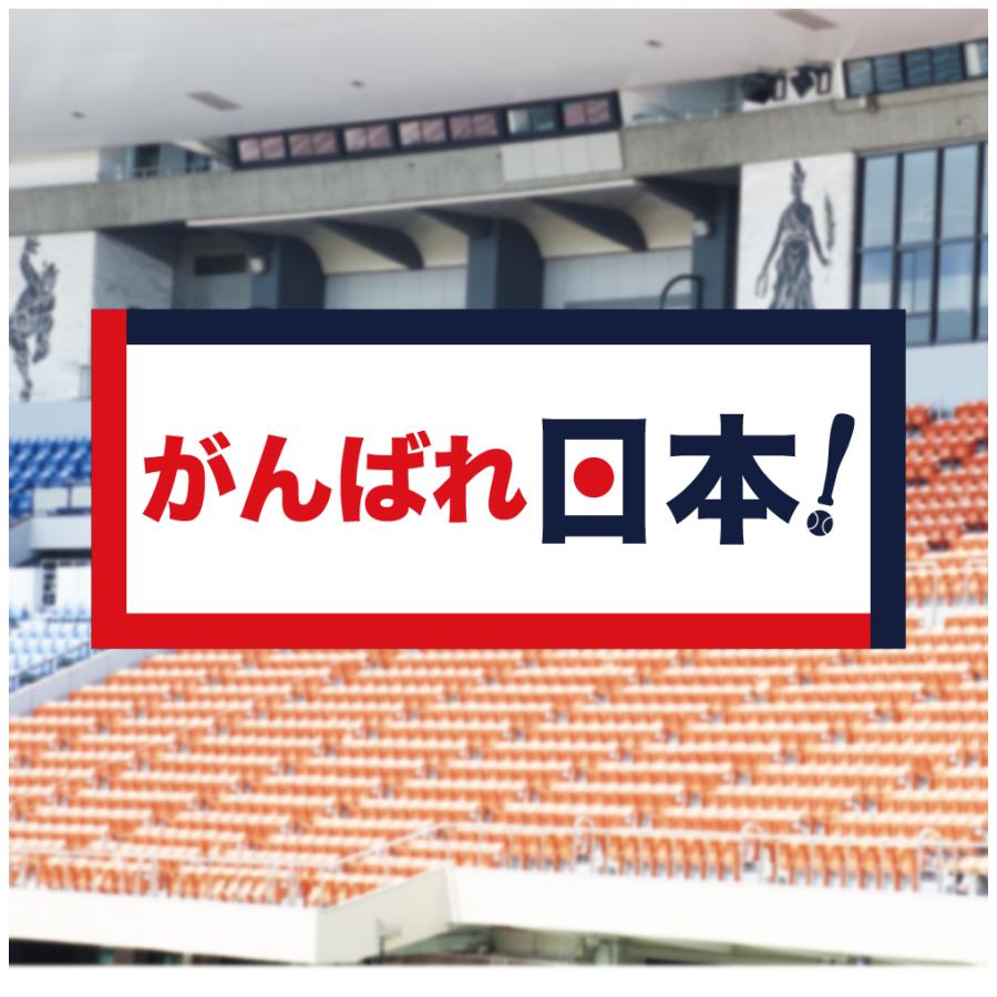 垂れ幕 がんばれ日本 応援 横断幕 布 ポンジ 軽量 野球 スタジアム