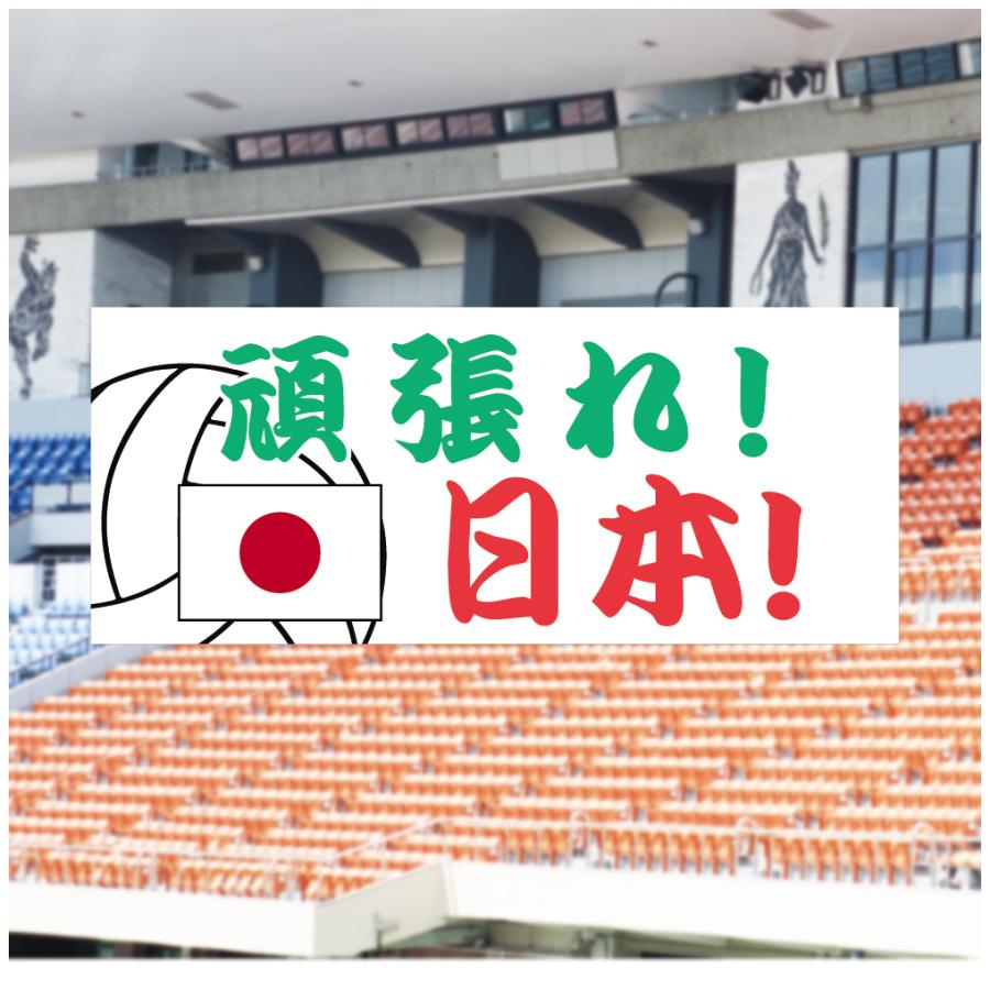 垂れ幕 がんばれ日本 応援 横断幕 布 ポンジ 軽量 バレー スタジアム