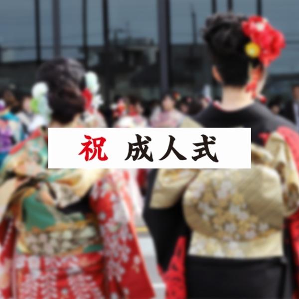 祝成人式 横断幕 祝 幕 垂れ幕 ターポリン幕 6000 10 Oudmk15 なないろ工房 通販 Yahoo ショッピング