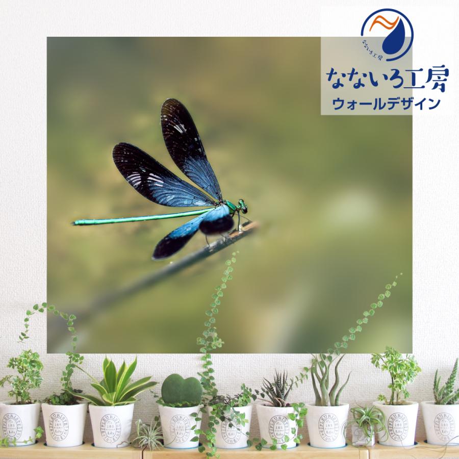 ウォールデザイン 撮影 蜻蛉 とんぼ 宅コス コスプレ トンボ 虫