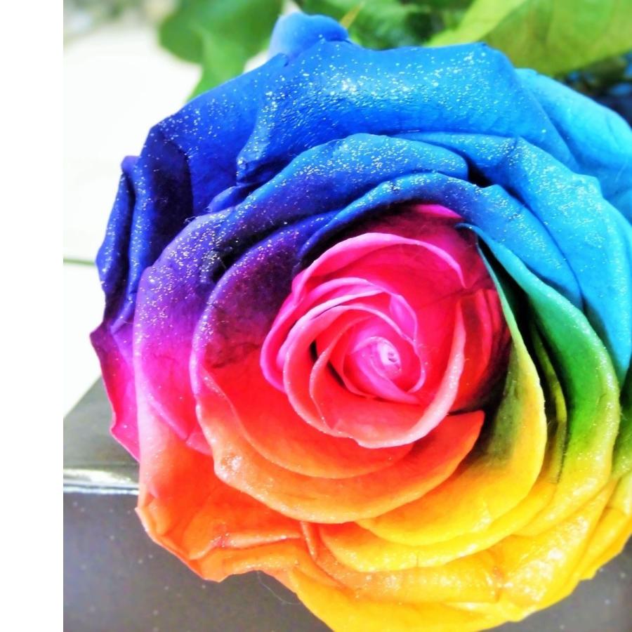 プリザーブドフラワー レインボーローズ ビッグサイズ 茎まで