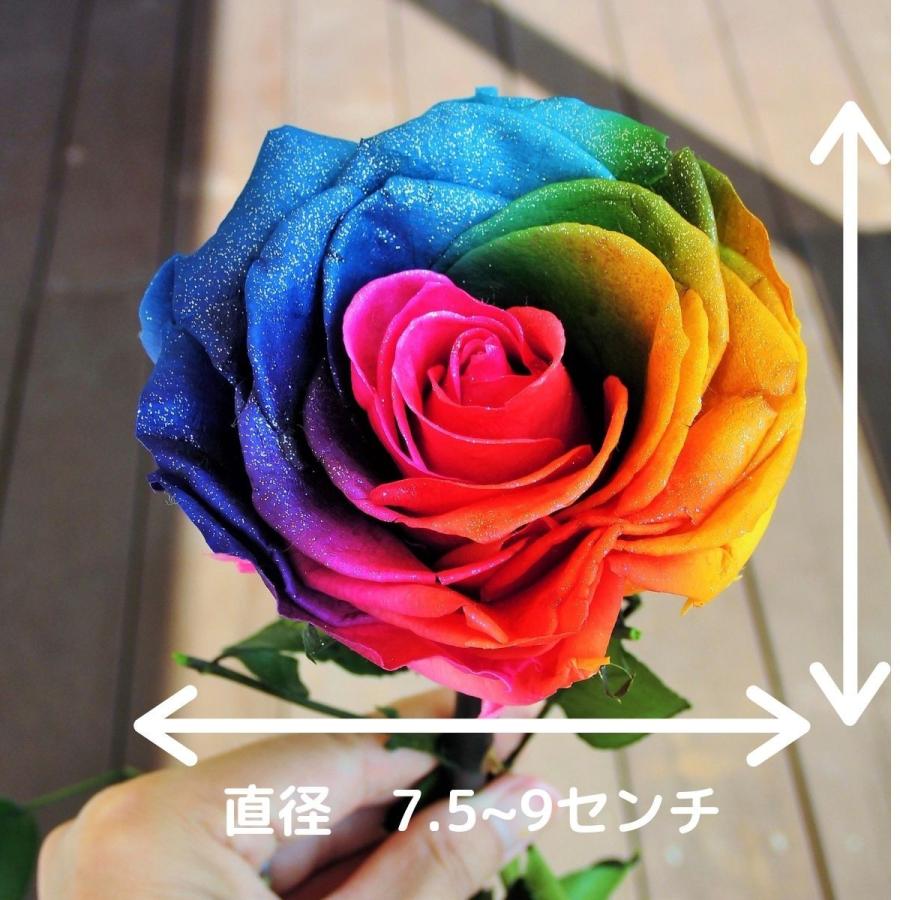 プリザーブドフラワー レインボーローズ ビッグサイズ 茎まで