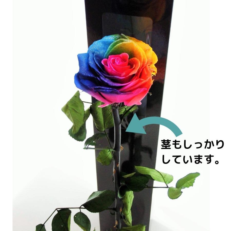 プリザーブドフラワー レインボーローズ ビッグサイズ 茎まで