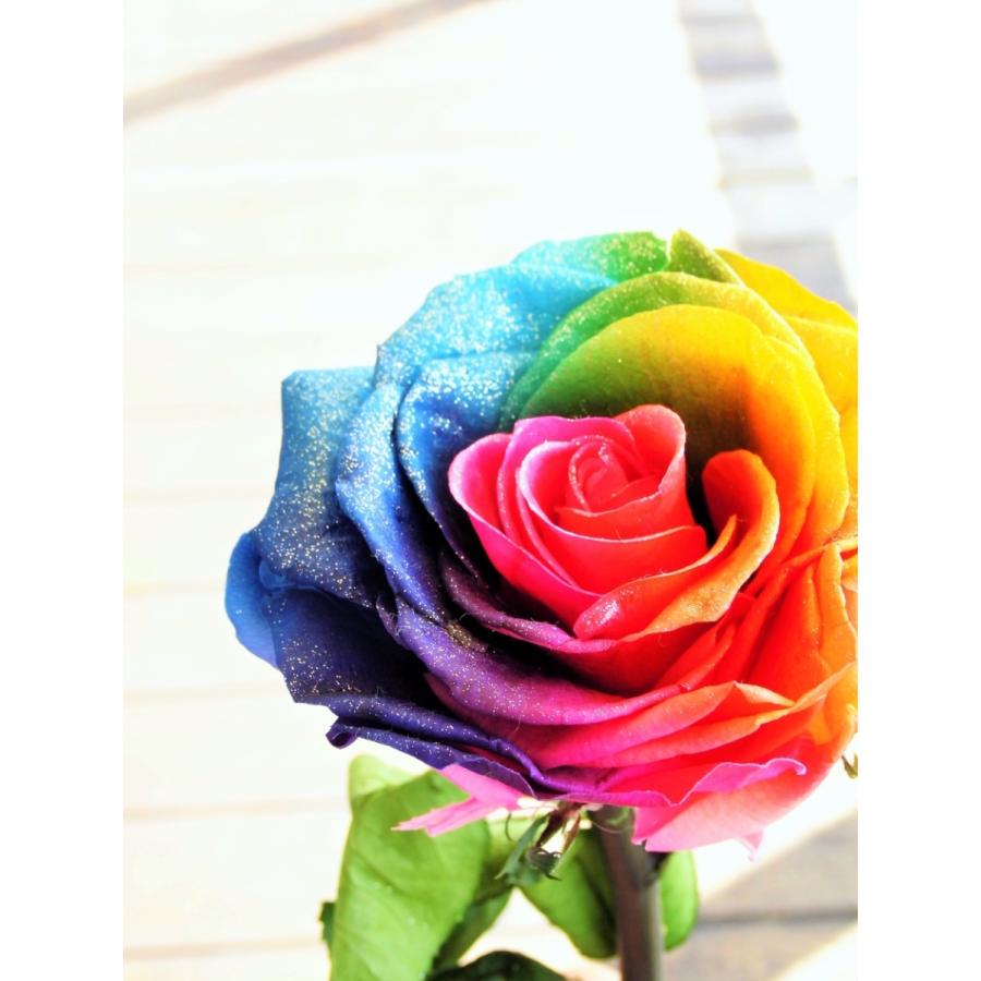 プリザーブドフラワーレインボーローズ花束 １本から本数指定可能 レインボープリザーブドフラワー 1本束 【茎付(アーティフィシャル