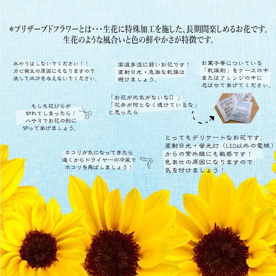 名入れ ひまわり プリザーブドフラワー sunflower フラワー