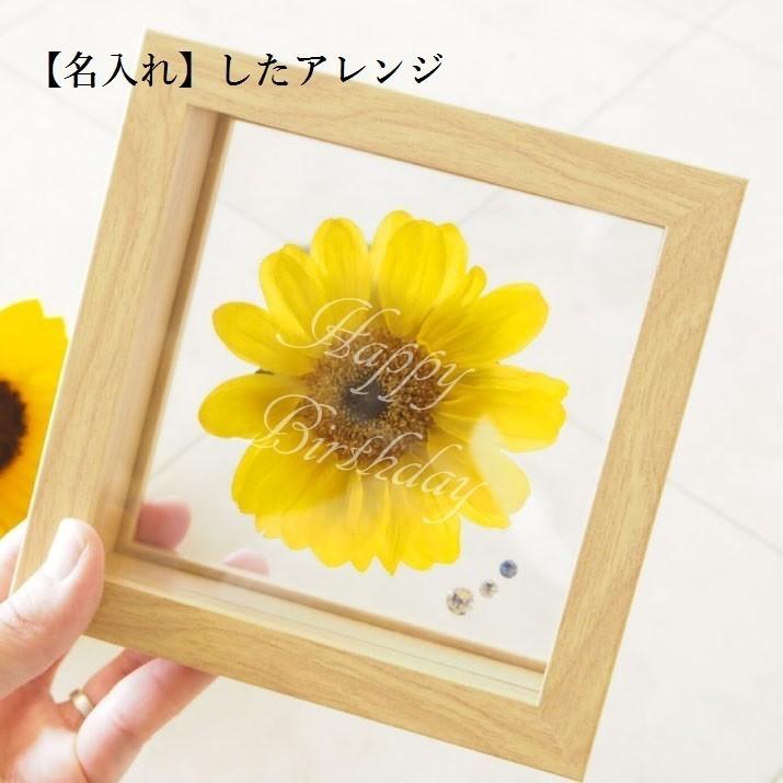 ひまわり Bright S – LIFFT