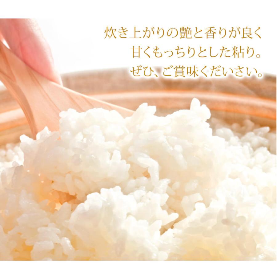 ポイント10%還元 令和7年産 新米 鳥取県産 20kg 七金星 白米 コシヒカリ きぬむすめ 真空パック 金箔付き 4合 5kg 10kg ギフト ショッピング開店記念価格_12