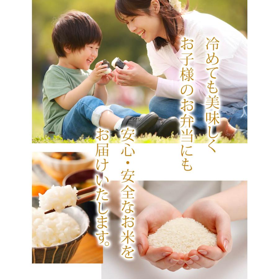 ポイント10%還元 令和7年産 新米 鳥取県産 20kg 七金星 白米 コシヒカリ きぬむすめ 真空パック 金箔付き 4合 5kg 10kg ギフト ショッピング開店記念価格_13