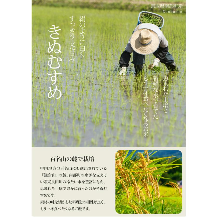 ポイント10%還元 令和7年産 新米 鳥取県産 20kg 七金星 白米 コシヒカリ きぬむすめ 真空パック 金箔付き 4合 5kg 10kg ギフト ショッピング開店記念価格_5