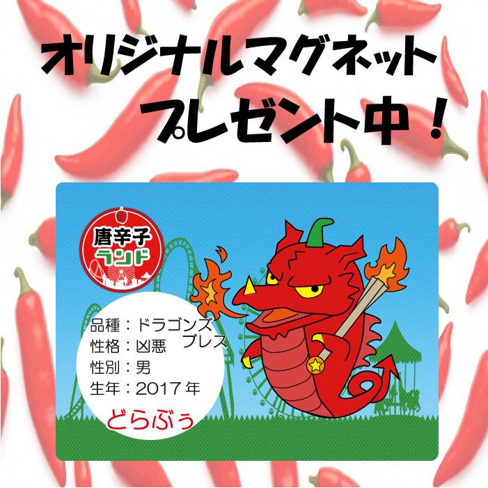 激辛唐辛子 唐辛子 ドラゴンズ・ブレス 激辛唐辛子 世界一辛い唐辛子 七海交易