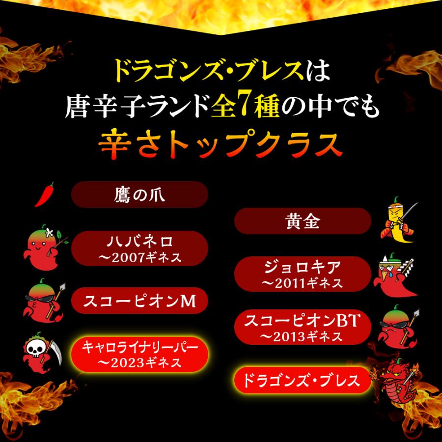唐辛子 ドラゴンズ・ブレス 激辛唐辛子 世界一辛い唐辛子 七海交易