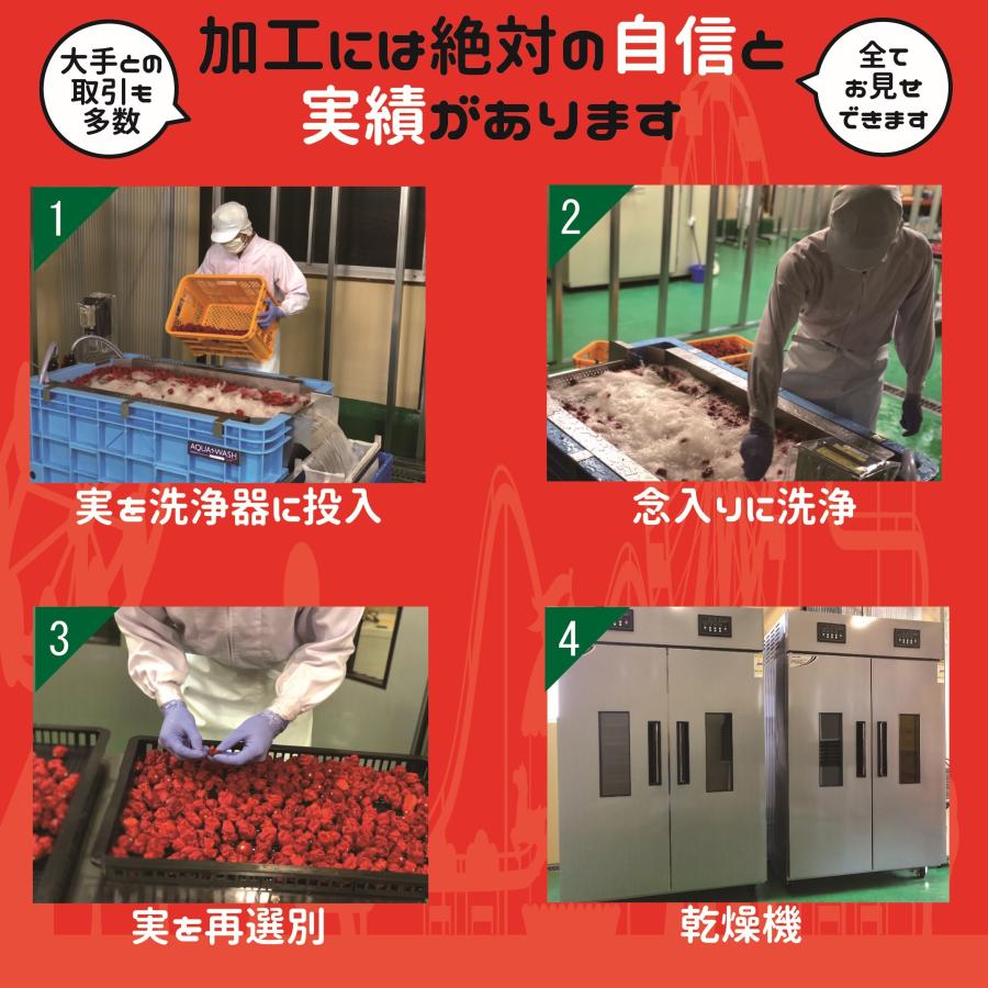 唐辛子 激辛唐辛子 激辛 七海交易 国産最高品質 ハバネロ はばにゃろ