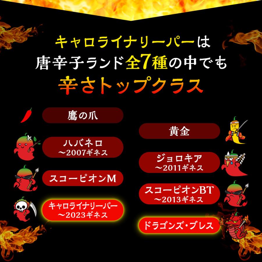唐辛子 キャロライナリーパー 激辛唐辛子 世界一辛い唐辛子 七海交易