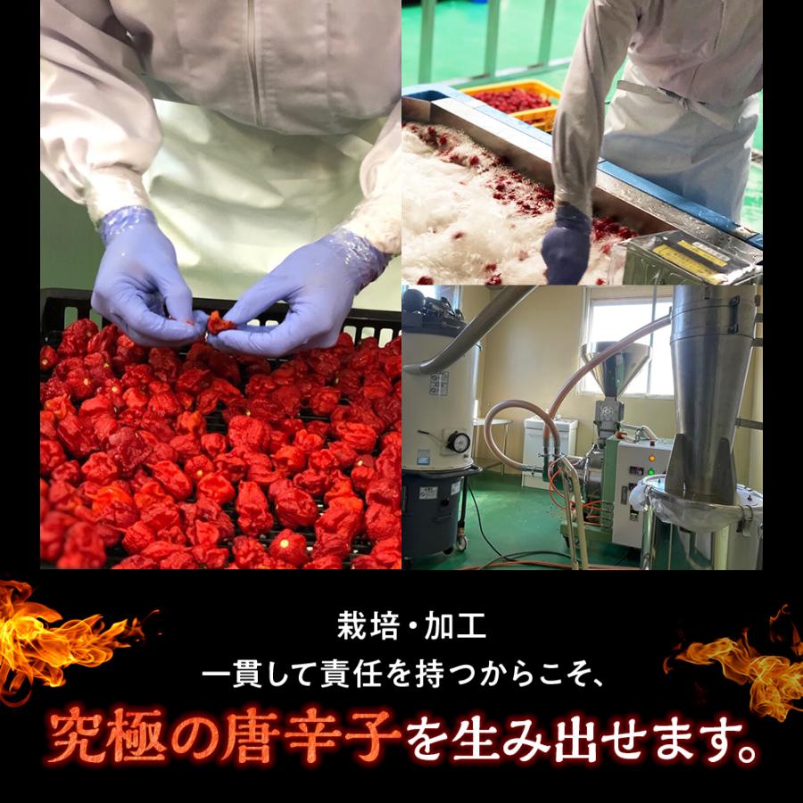 唐辛子 キャロライナリーパー 激辛唐辛子 世界一辛い唐辛子 七海交易
