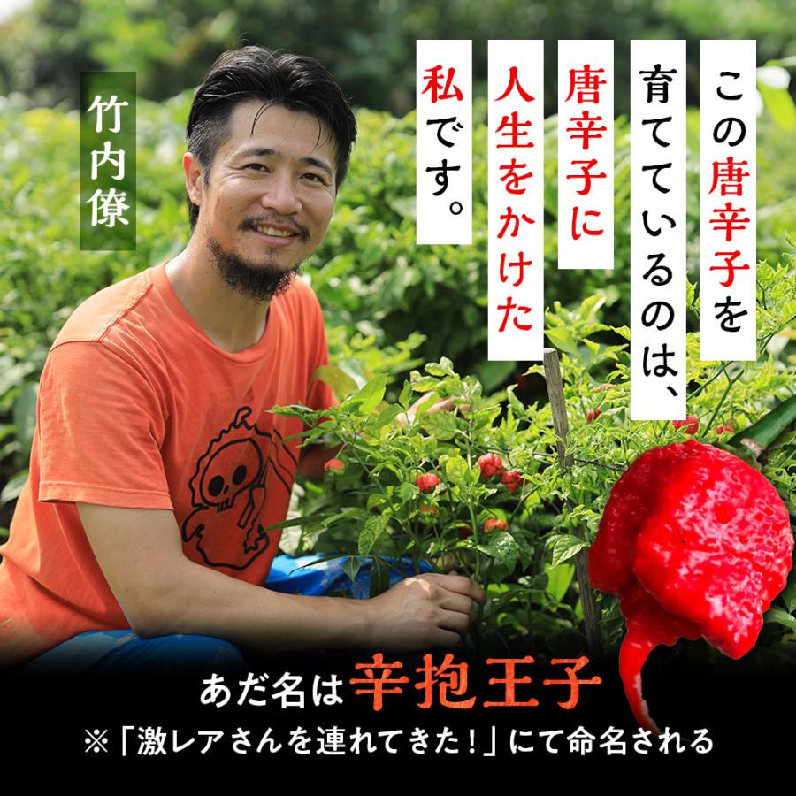 ぺ*郎様 【完全美品・秘蔵レア】リグラス・リーパー【世界で25〜50枚】 唐辛子 キャロライナリーパー 激辛唐辛子 世界一辛い唐辛子 七海交易