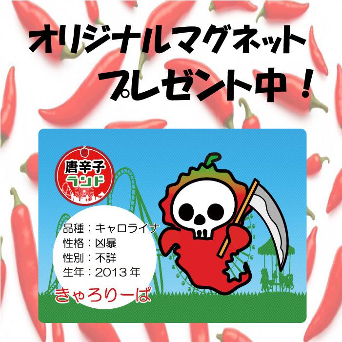 唐辛子 キャロライナリーパー 激辛唐辛子 世界一辛い唐辛子 七海交易