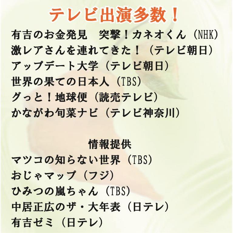 唐辛子 キャロライナリーパー 激辛唐辛子 世界一辛い唐辛子 りょう君の 